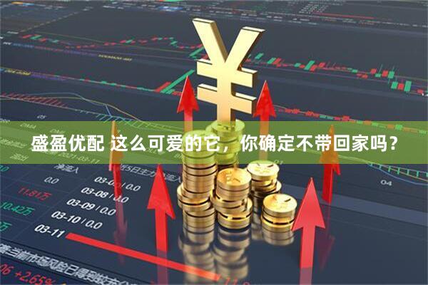 盛盈优配 这么可爱的它，你确定不带回家吗？