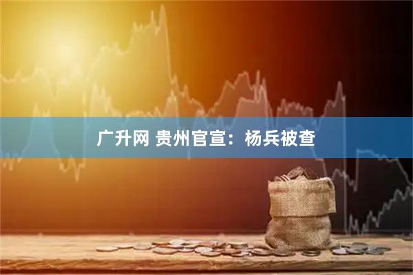 广升网 贵州官宣:杨兵被查