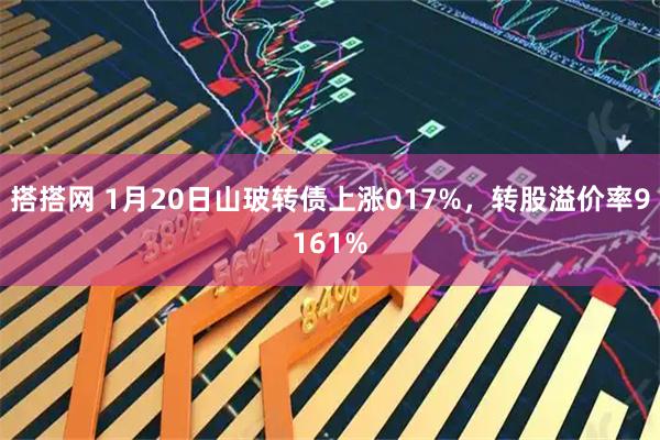 搭搭网 1月20日山玻转债上涨017%，转股溢价率9161%