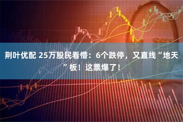 荆叶优配 25万股民看懵：6个跌停，又直线“地天”板！这票爆了！